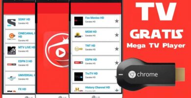 1657324751 qiapqlt4q60