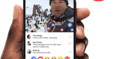 1658186877 0014542179