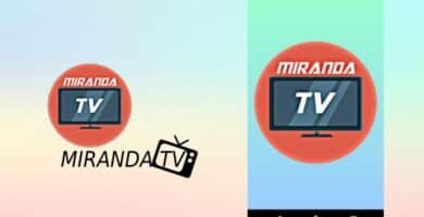 1677725929 New Project 26