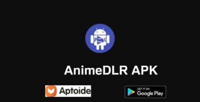 AnimeDLR
