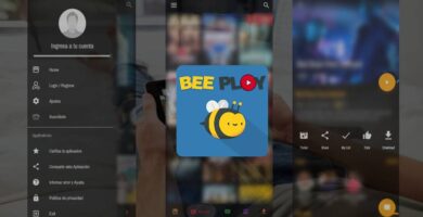 Bee Play