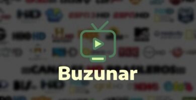 Buzunar