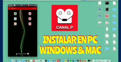 Canal P Premium 10 para pc