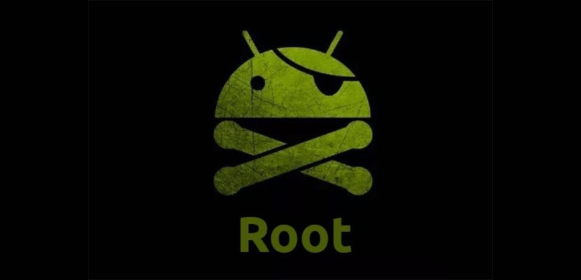 Cómo descargar iRoot para Windows y Android