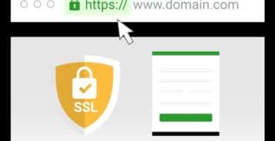 Como arreglar el error de SSL
