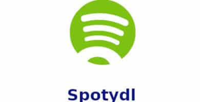 Como descargar Spotydl 4
