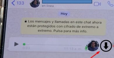 Como descargar audios de WhatsApp