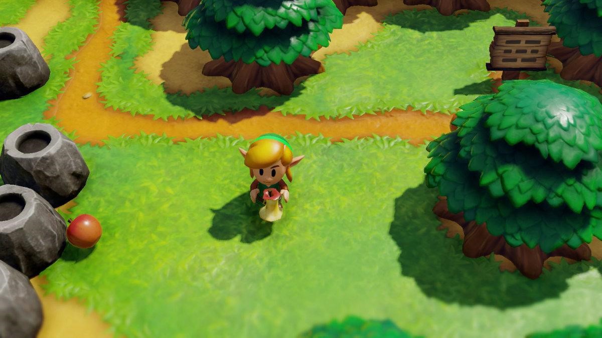 Consigue la lupa en Zelda Link's Awakening