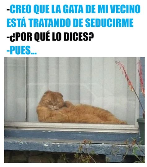 hacer memes