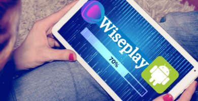 Descargar Wiseplay para Android