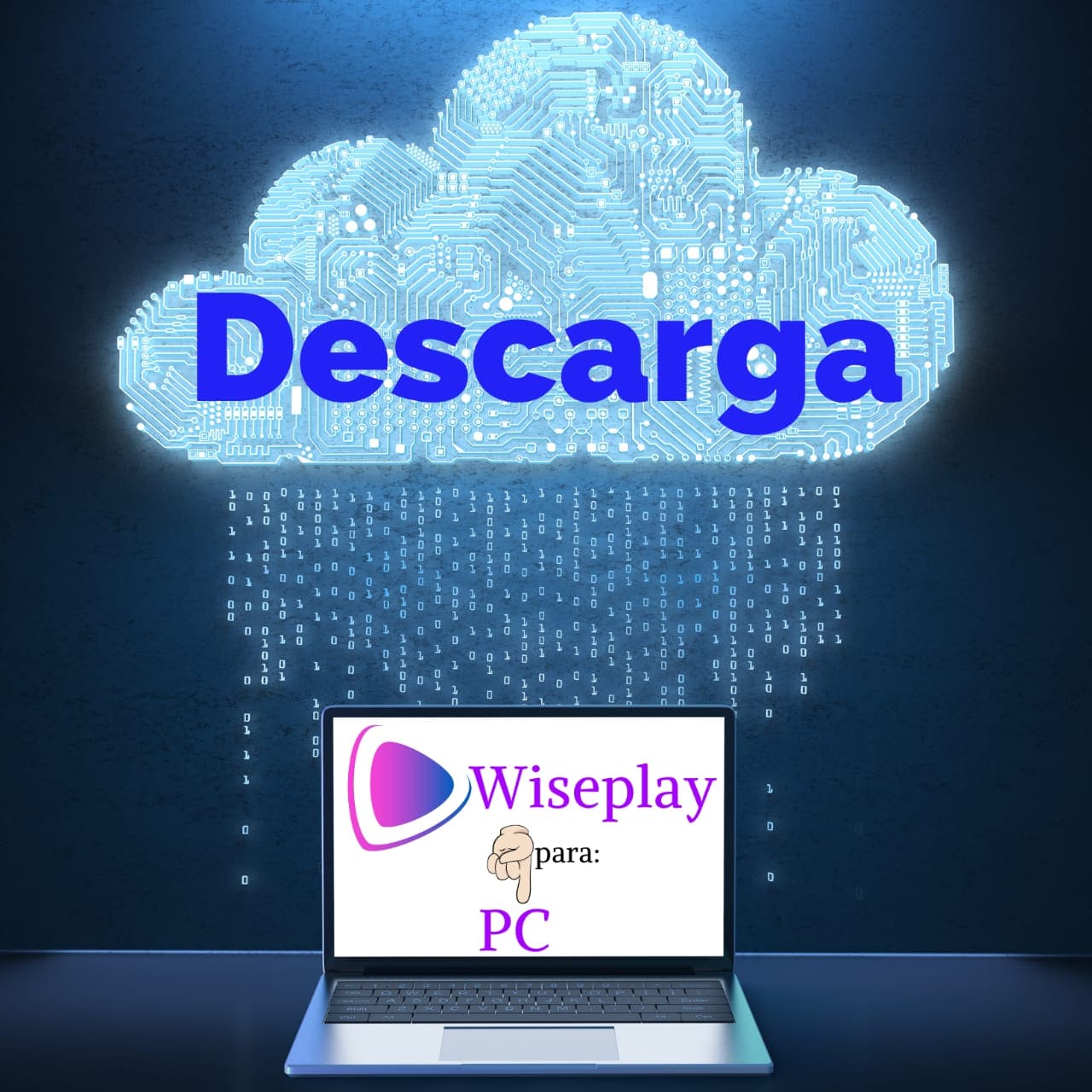 Descargar wiseplay para computadora