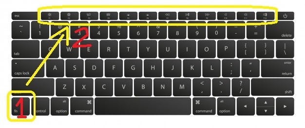 El panel táctil no funciona en Windows 10