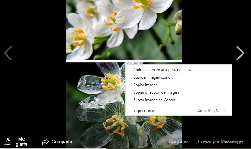 Encuentra personas en Facebook por imágenes