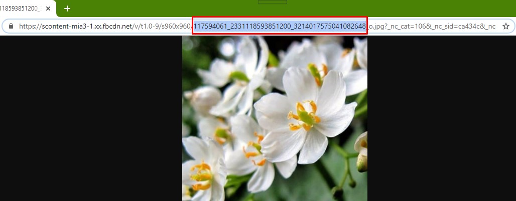 Encuentra personas en Facebook por imágenes