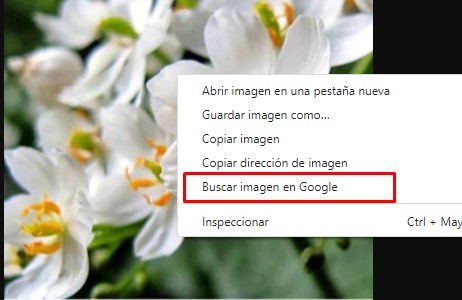 Encuentra personas en Facebook por imágenes