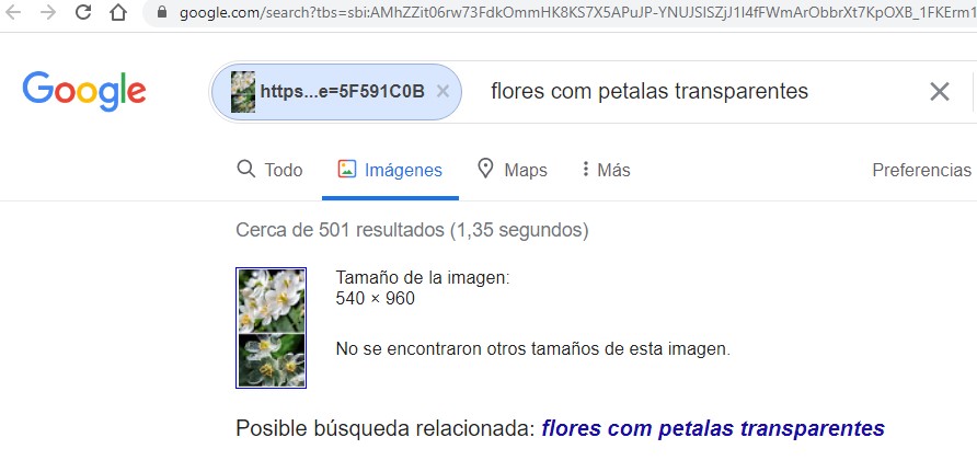 Encuentra personas en Facebook por imágenes