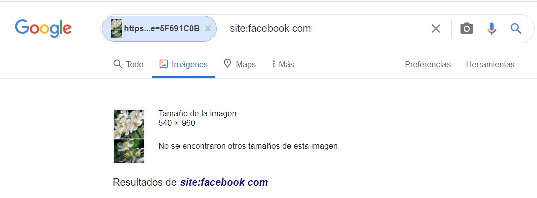 Encuentra personas en Facebook por imágenes