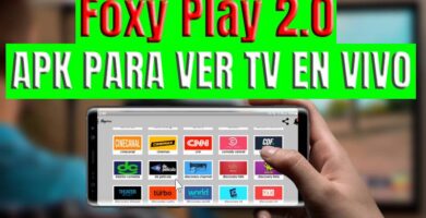 Foxy Play 2