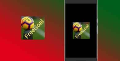 FreeGoal