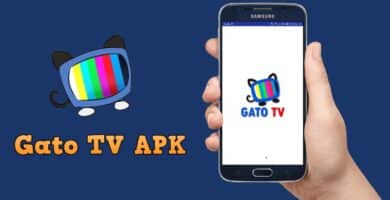 Gato TV APK 1