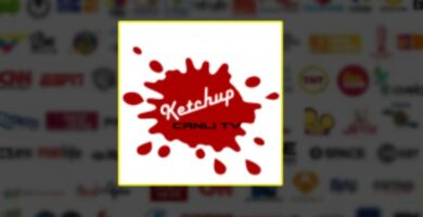 Ketchup TV 1