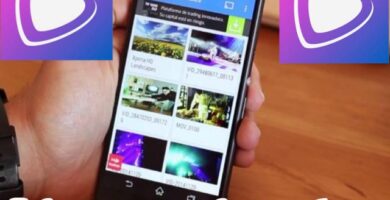 Listas wiseplay actualizadas
