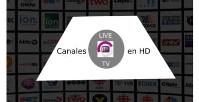 Live TV