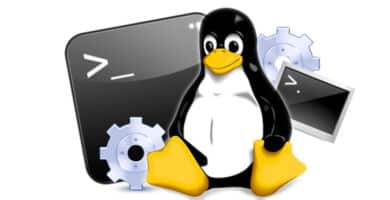 Los comandos de Linux mas importantes para principiantes phixr