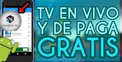 Magna TV