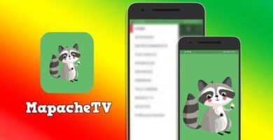 MapacheTV