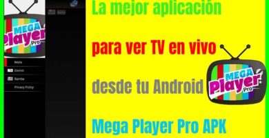Mega Player Pro