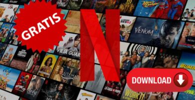 Netflix Mod