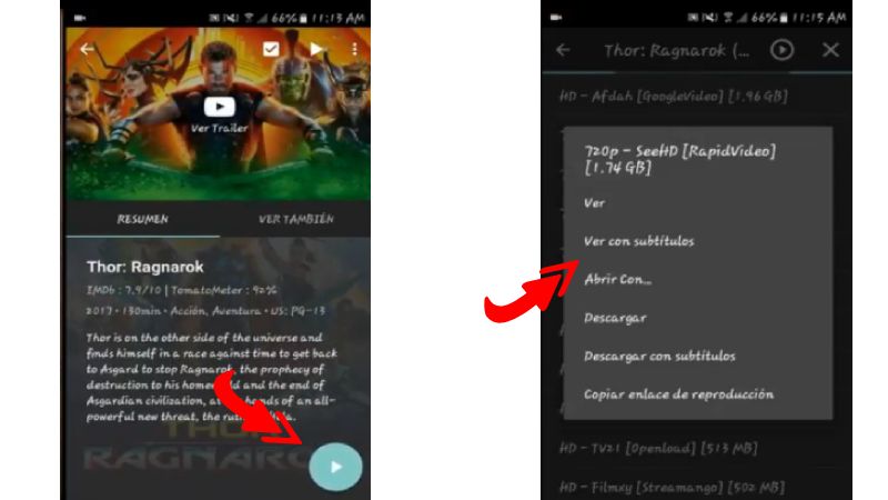 Agregar subtítulos en netfreex apk