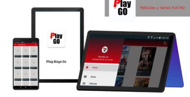Play Rayo Go