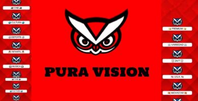 Pura Vision