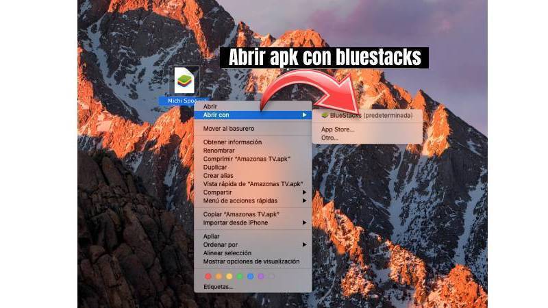 Michi Sports apk para PC