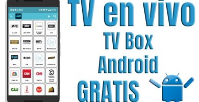 Smart Sports 80
