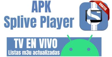 Splive Player 6