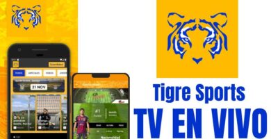 Tigre Sports apk para Android