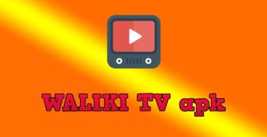 WALIKI TV