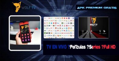 Wolf TV