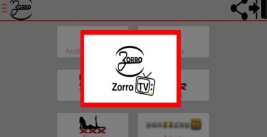 Zorro TV