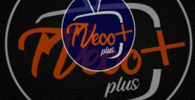 b613189c b7bb 41e0 a3a9 90d8e1e952d5