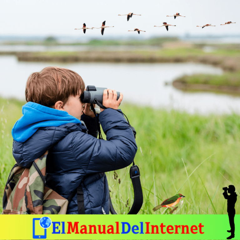 Compre buenos binoculares para observar aves