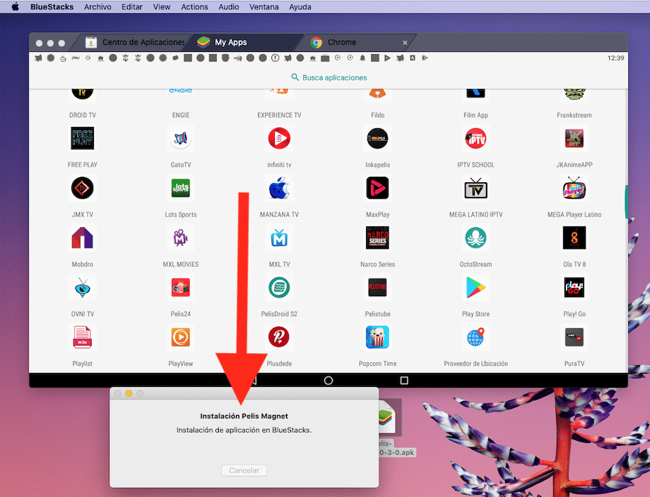Descargar Pelis Magnet para Mac