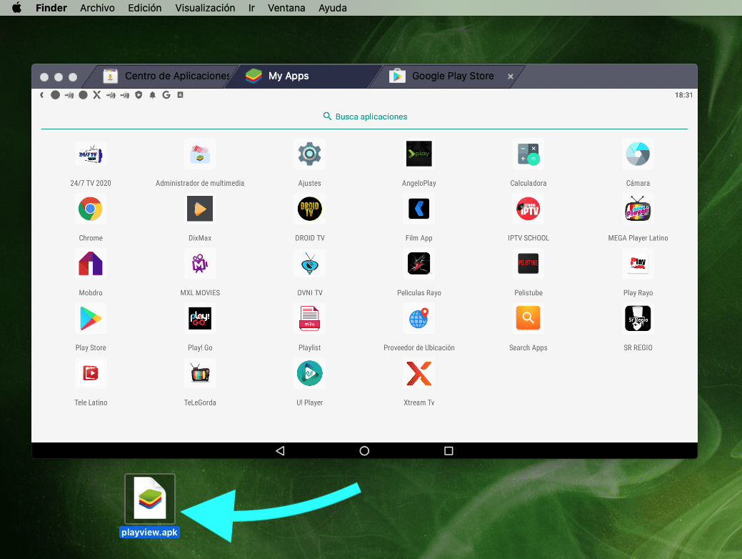 descargar play view para pc