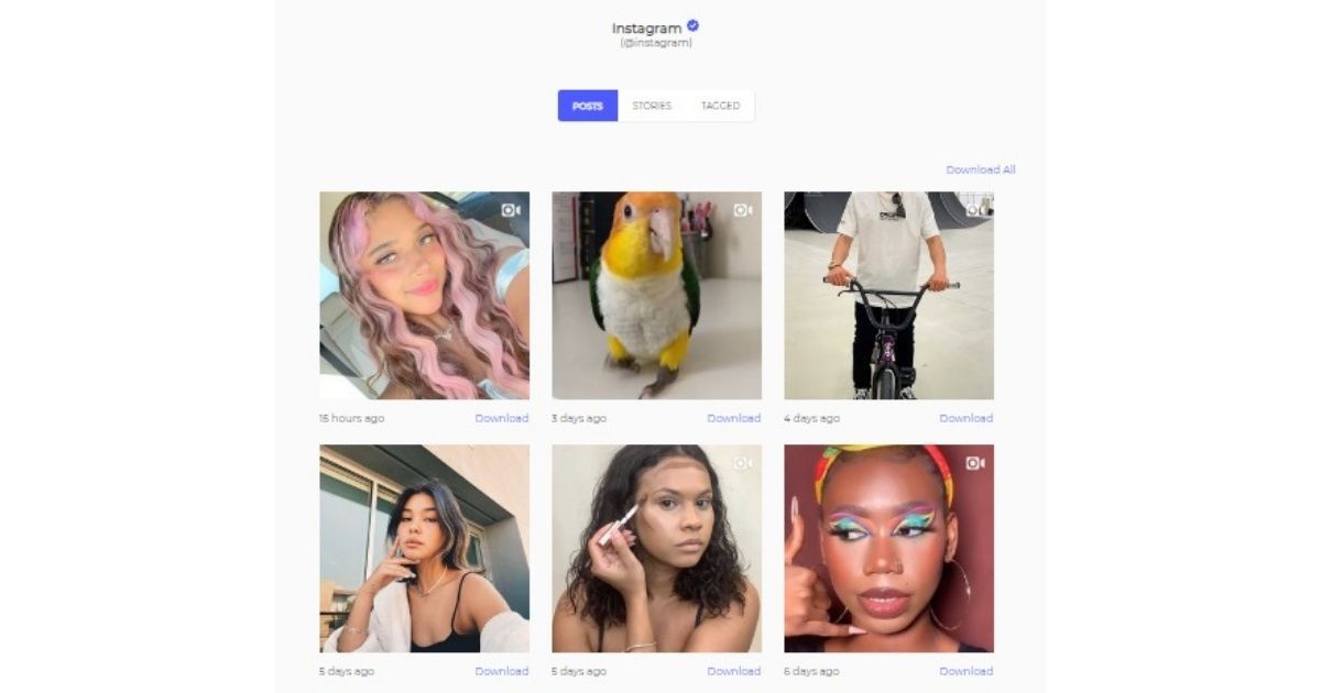 Descargar publicación de imagen