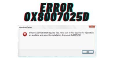 error 0x8007025D