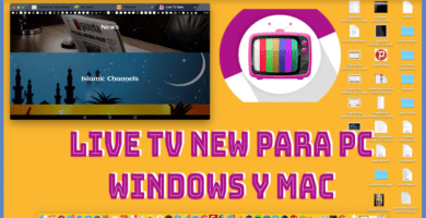 live tv new para pc