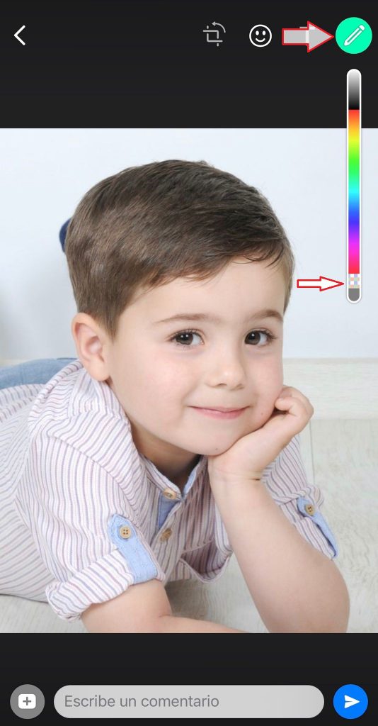 paso 2 pixelar foto iphone